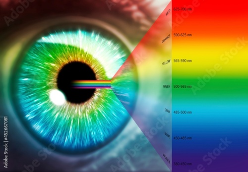 Artwork of human eye and optical spectrum