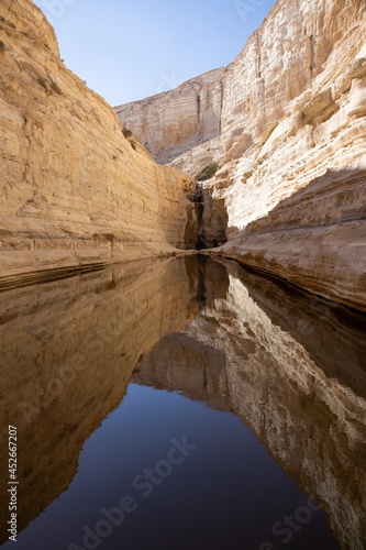 Ein Ovdat oasis, Negev, Israel photo