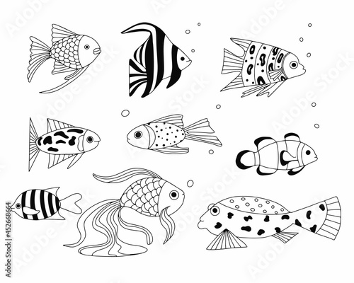 Set of exotic coral reef fish. Underwater swimming animals. Tropical fish for the aquarium. vector cartoon hand drawn elements for design