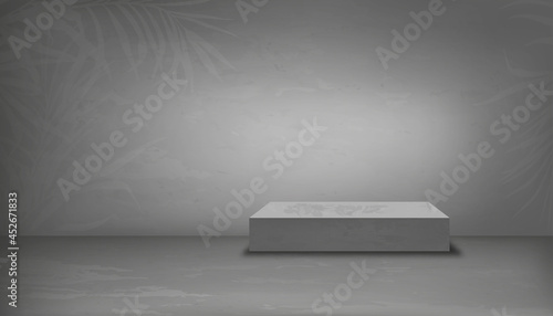 Empty Studion room with podium and palm leaves on grey wall,Background Gray Cement texture of floor, Vector 3D Backdrop of Gray Concrete surface with cracked texture. Banner for loft design photo