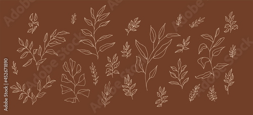 Vector boho aesthetic botanical set of linear handdrawn twigs. Bohemian style artistic branches collection for wedding invitation design. Retro style elegant doodle herb drawing. Plant leaf decoration