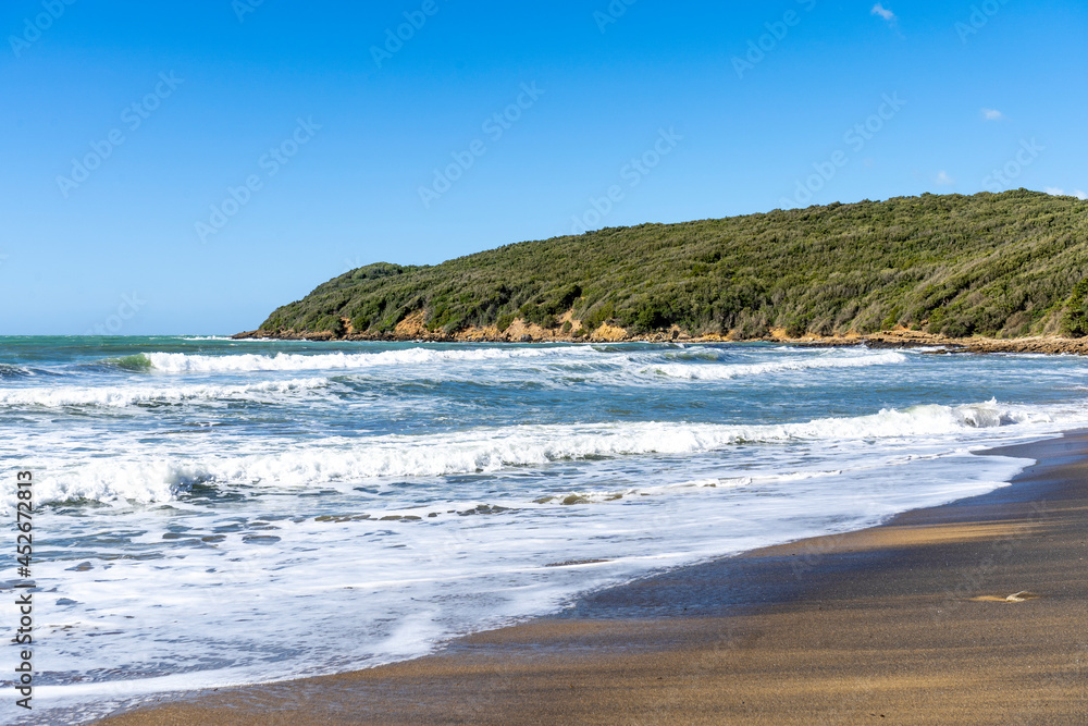 The sandy beach of the Gulf of Baratti, in the municipality of Piombino, along the Etruscan Coast, province of Livorno, Tuscany, Italy