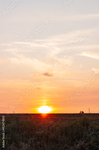 Sunset over countryside field with wild grass and bushes. Evening rural scene. Colorful red orange sun light on horizon.