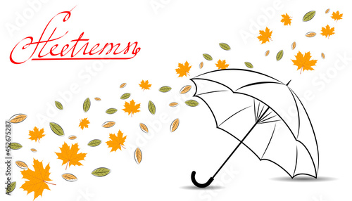 Autumn composition with leaves and umbrella on a white background.