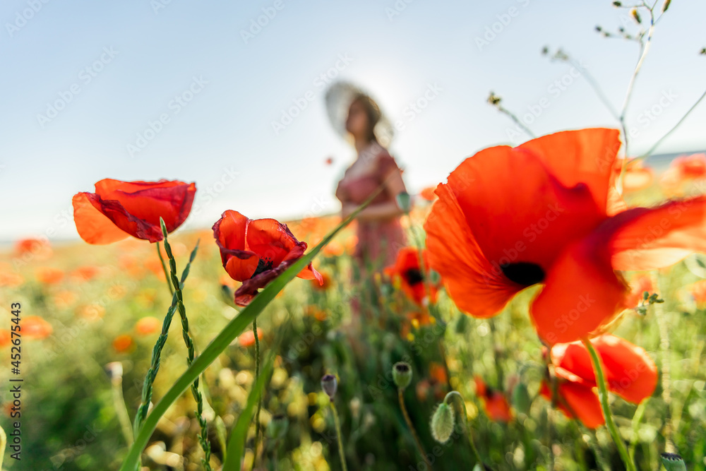 Obraz premium A girl in a poppy field.