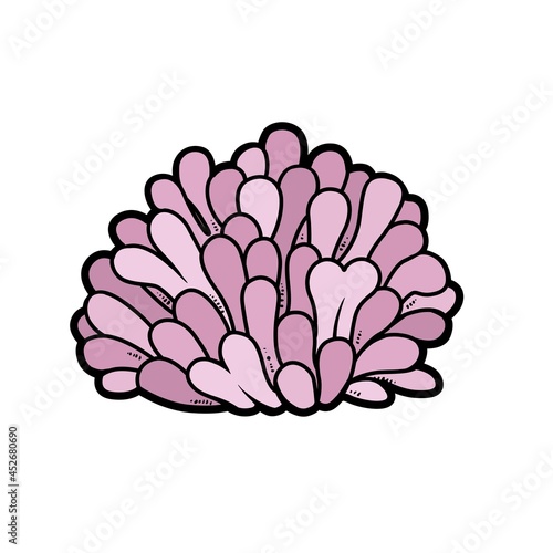 Round anemone color variation for coloring page isolated on white background