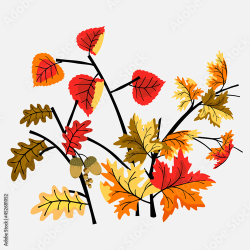 Set of branches with autumn leaves in flat cartoon style.Maple, poplar and oak branches with acorns isolated on gray.Vector autumn background.Hand drawn leaf elements for decorative design.
