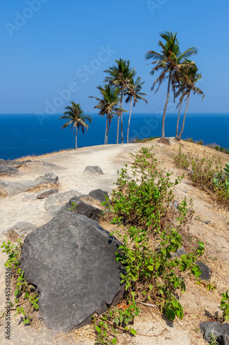 Palm trees on the beach