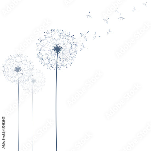 Dandelion hand drawn, linear stylish design