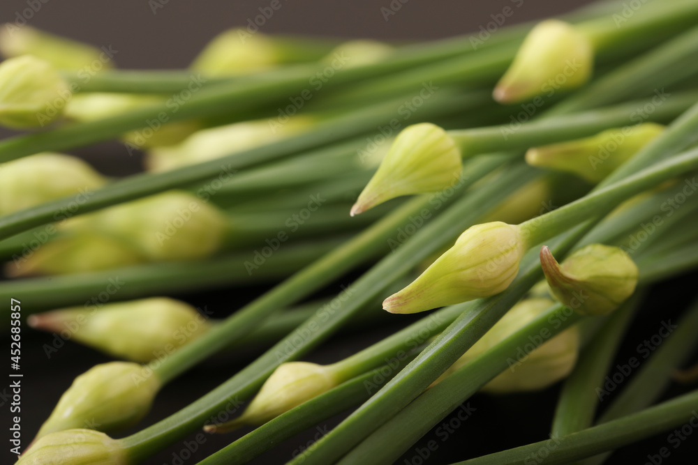 Obraz premium ニラ（にら穂）山形県産