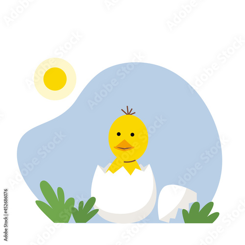 Vector funny chick hatched from an agg. Cute cartoon domestic little bird. Character for kids.