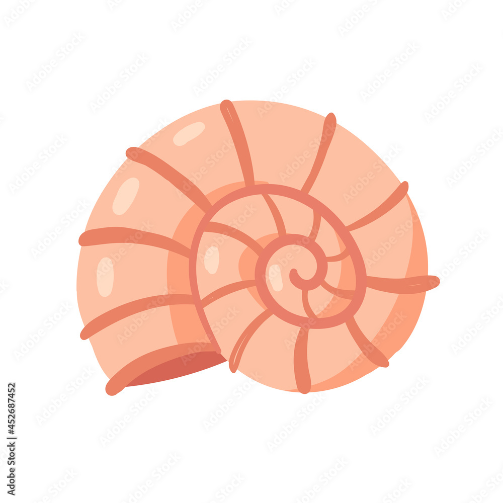 Spiral shellfish mollusk, animal from ocean marine life vector illustration. Cartoon shell conch from tropical sea waters or aquarium isolated on white