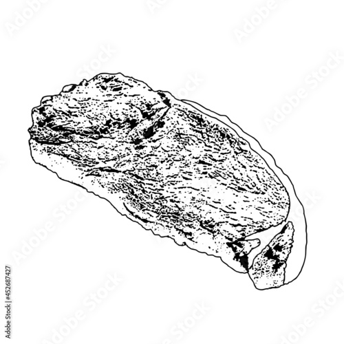 sirloin meat sketch illustration