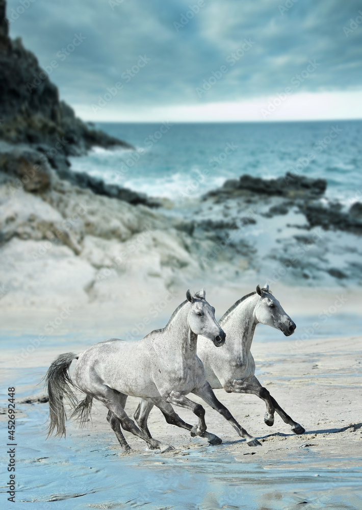 dwa białe konie biegnące galopem po plaży - obrazy, fototapety, plakaty 
