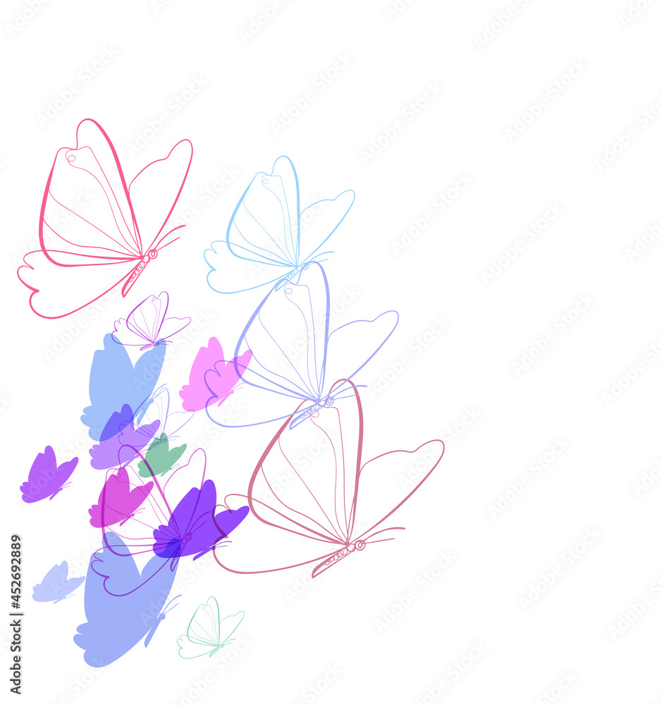 Fototapeta premium butterfly summer magic vector line bright colorful card background