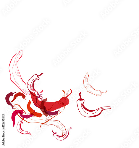 chilli pepper food vegetable vector line bright colorful card background