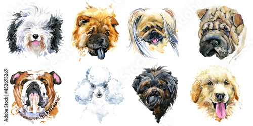 Dogs Collection. watercolor illustration of a different dog breeds Isolated on white.