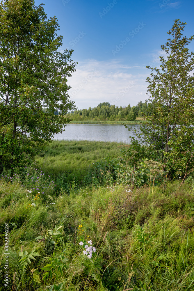 The pond appearing through the trees with lush growth in the foreground against a summer sky. Daytime, overcast sky with clouds. Scenery, rural landscapes, natural water basins, travel, contemplation. The pond appearing through the trees with lush growth in the foreground against a summer sky. Daytime, overcast sky with clouds. Scenery, rural landscapes, natural water basins, travel, contemplation.