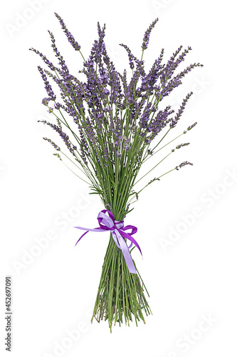 Levander, aka levandula, violet flowering plant isolated