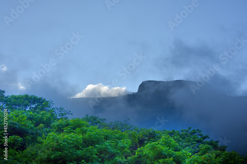Nature Frames, Landscape and Birds