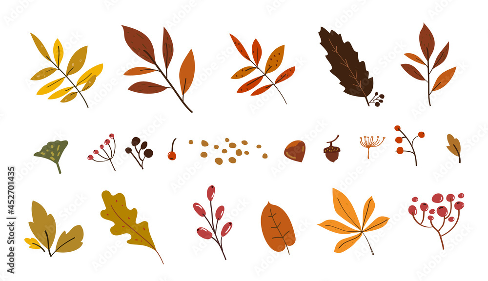 Autumn leaves doodle set. Drawing leaf fall. Autumn time sketch elements. Fall collection with leaves. Autumn leaves doodle set. Drawing leaf fall. Autumn time sketch elements. Fall collection with leaves.