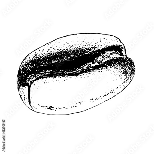 coffee bean sketch illustration