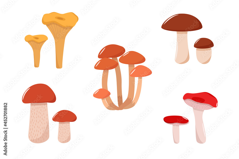 Set of mushroom icons vector. Illustration of boletus, chanterelles, honey mushrooms, aspen mushroom and russula. Set of mushroom icons vector. Illustration of boletus, chanterelles, honey mushrooms, aspen mushroom and russula.