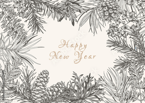 Botanical frame with fir and pine branches, cones, fern and leaves. Black and White ornament. Sketch.