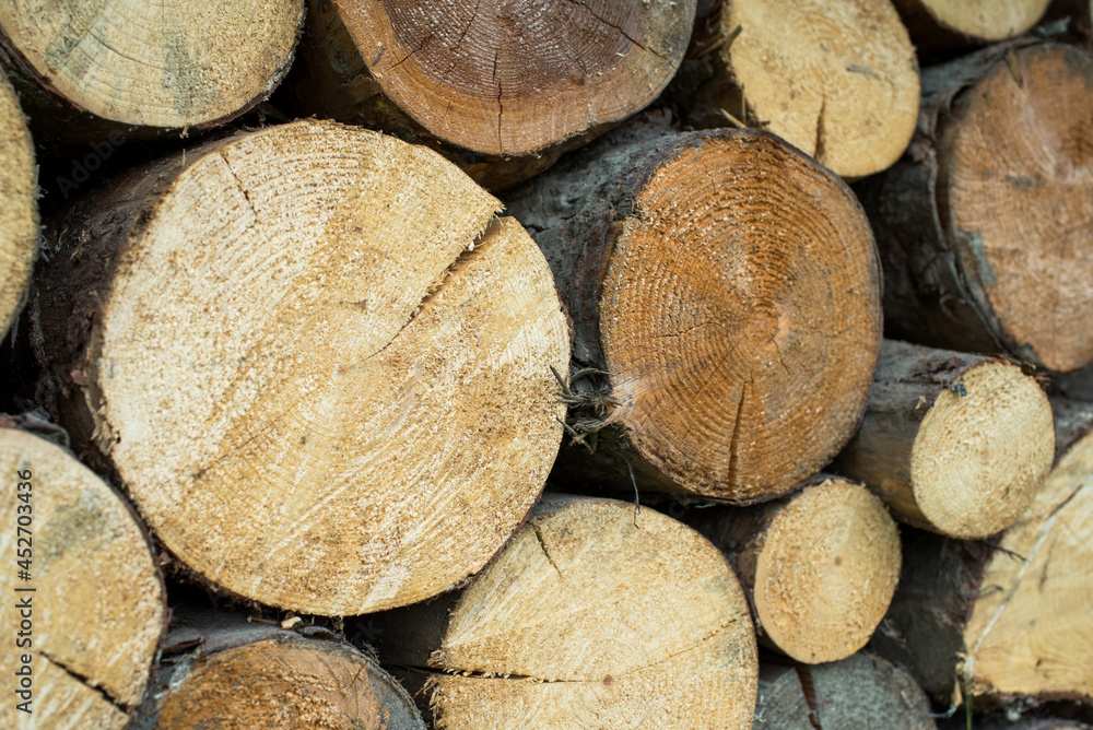 Pile of wood forming a wall. Ecology and deforestation problems in nature. Pile of wood forming a wall. Ecology and deforestation problems in nature.