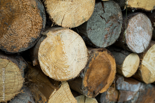 Pile of wood forming a wall. Ecology and deforestation problems in nature.