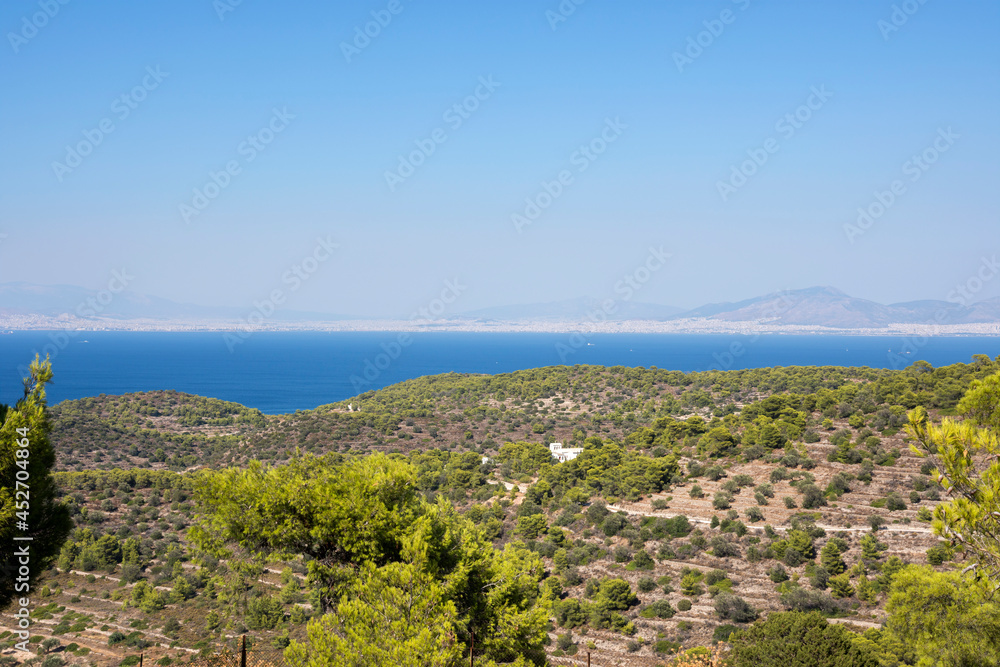 plants and panorama from Aphaia temple in Egina island in Greece