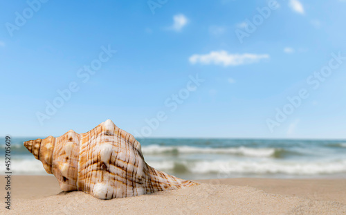 Seashell like a trumpet on the seashore with sea waves and blue sky.