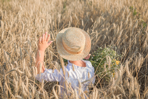 Back view on cute kid boy in straw hat with daisies in hands walking on rye field and watching into the distance. A child walks outside in the countryside. Lifestyle