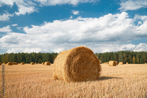 Bale of straw