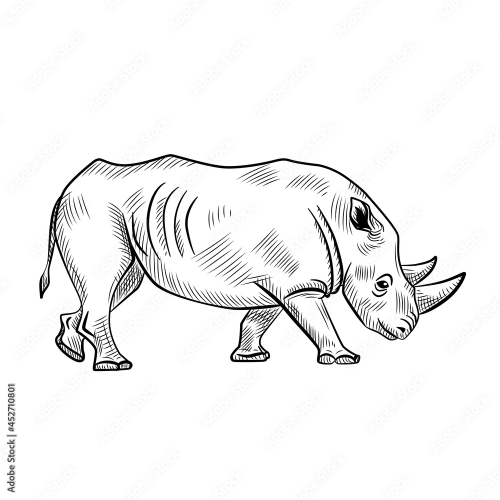 Rhinoceros isolated on white background. Sketch graphic animal with horn savannah in engraving style.