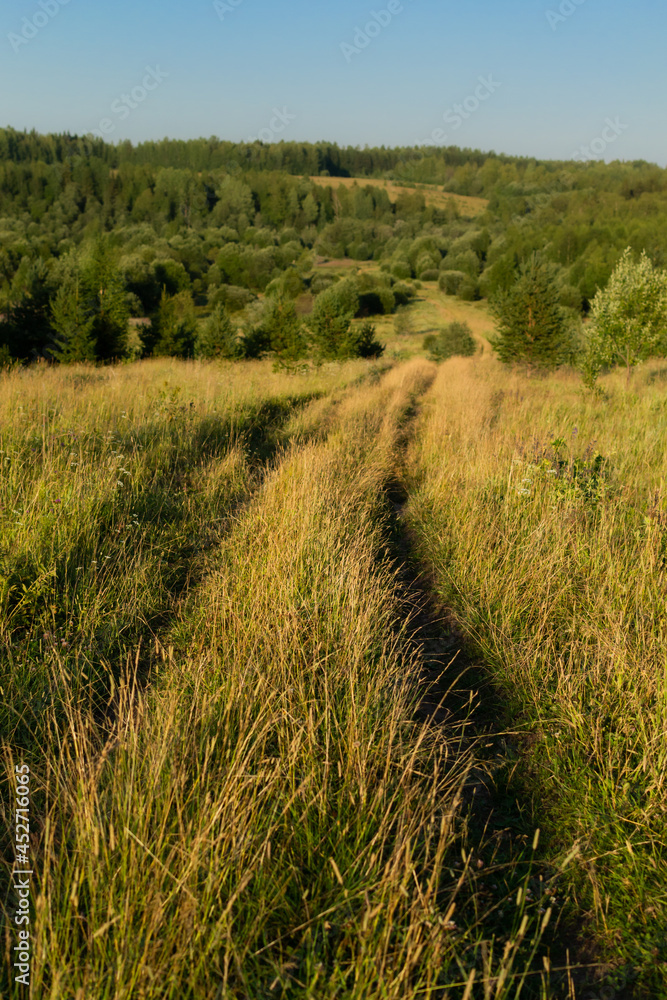Country road in a field on a hill among golden grass, cereals, flowers, leading past trees, woods at sunset. Russian nature