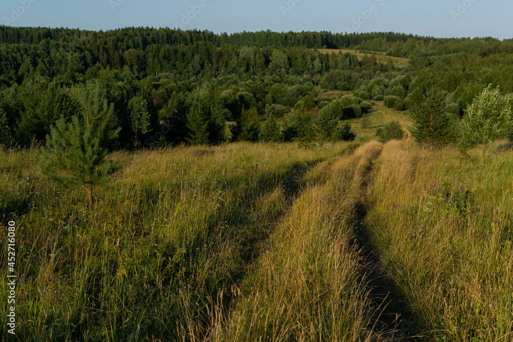 Country road in a field on a hill among golden grass, cereals, flowers, leading past trees, woods into the distance at sunset. Russian nature