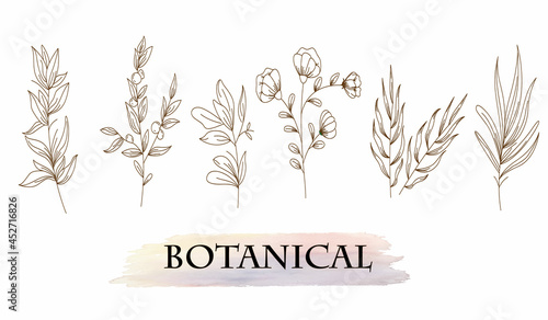 Botanical arts. Hand drawn continuous line drawing of abstract flower, floral, ginkgo, rose, tulip, bouquet of olives. Vector illustration
