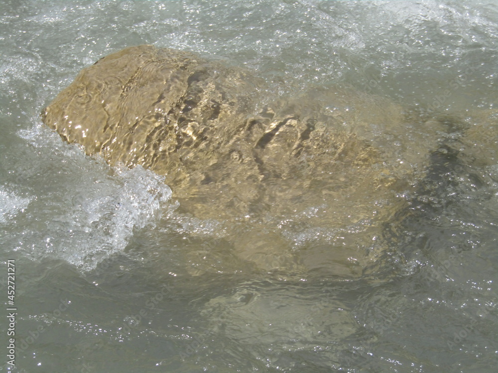 Obraz premium torrent