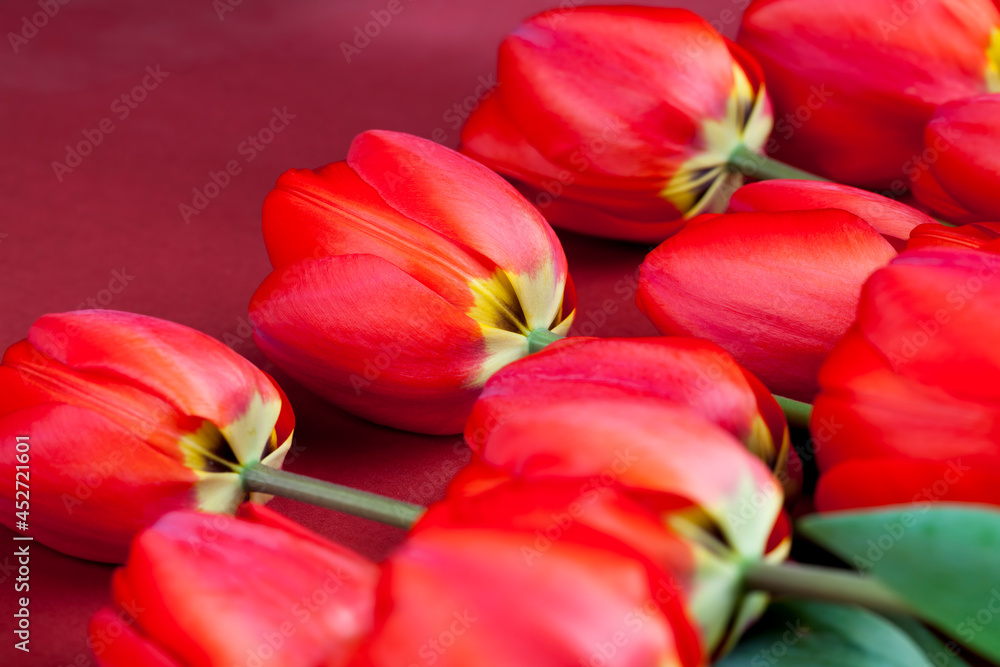 red tulips with bright petals in a bouquet red tulips with bright petals in a bouquet
