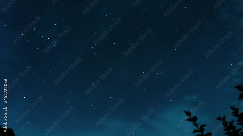 Timelapse of the starry night sky. Moving stars can be seen between the branches of the trees Timelapse of the starry night sky. Moving stars can be seen between the branches of the trees