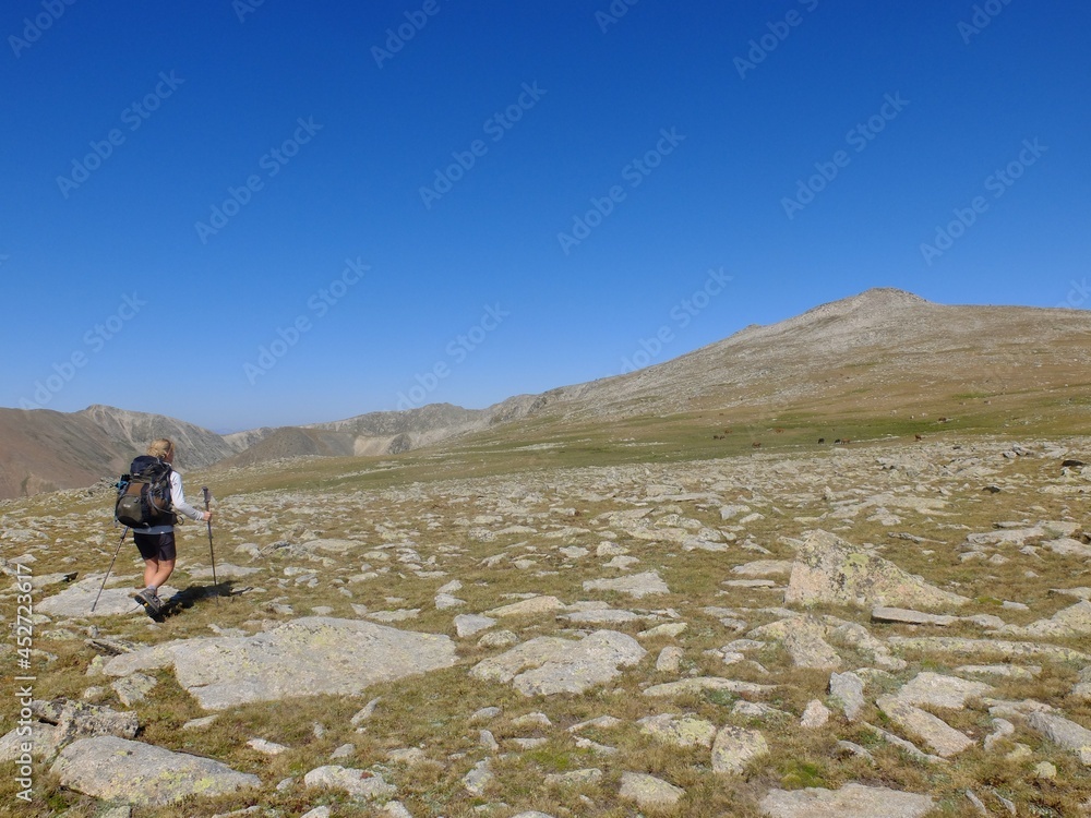 Fototapeta premium jeune femme qui randonne en montagne avec sac à dos dans les Pyrénées hors sentier dans l'herbe et les crêtes