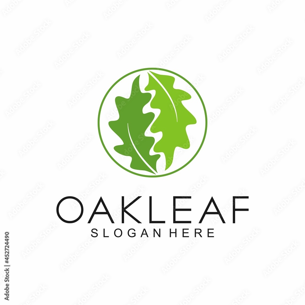 Oak Leaf logo design template, vector Oak Leaf logo design template, vector