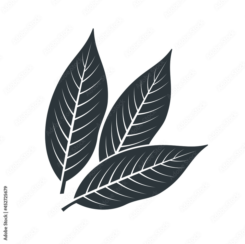 bay leaf illustration, bay leaf icon, vector art. bay leaf illustration, bay leaf icon, vector art.