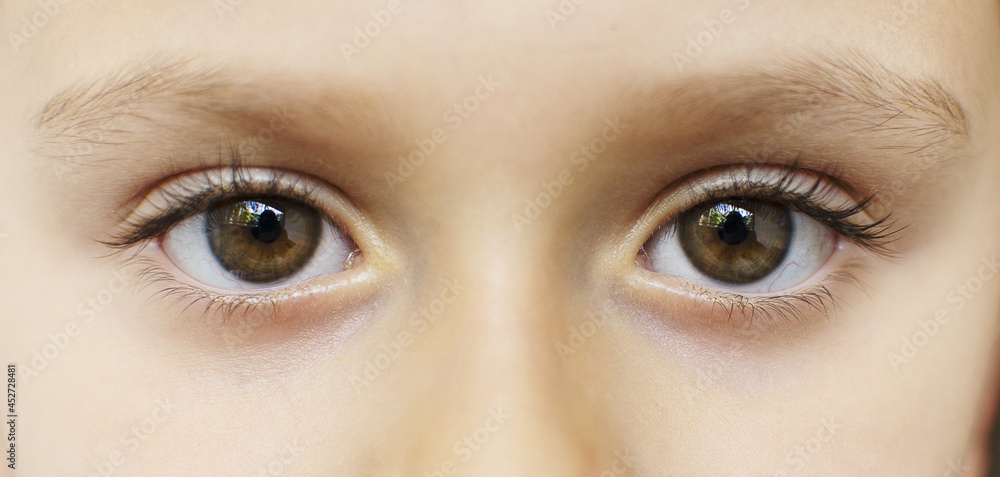 Closeup shot of a small girl's eyes - obrazy, fototapety, plakaty 