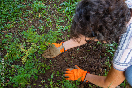 Jardinagem e plantio de horta caseira. Para comida sem agrotóxicos  photo