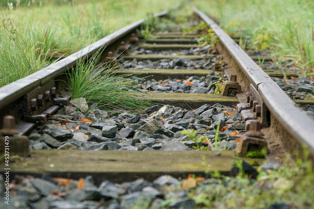 Gleise mit Bahnschwelle von Pflanzen verwuchert Gleise mit Bahnschwelle von Pflanzen verwuchert