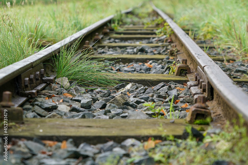 Gleise mit Bahnschwelle von Pflanzen verwuchert photo