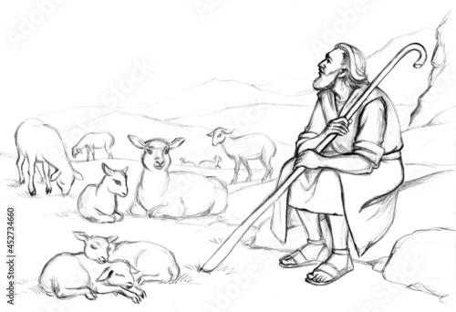 Shepherd with a sheeps on the field photo