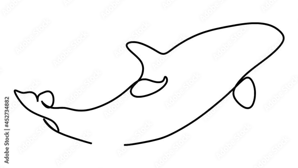 Whale Whale